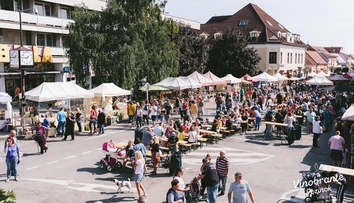 Pre pandémiu zrušili tradičné vinohradnícke oberačkové slávnosti v Pezinku