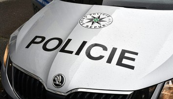 Novorodené šteniatka niekto v igelitke vyhodil do smetí. Zo šiestich prežili tri