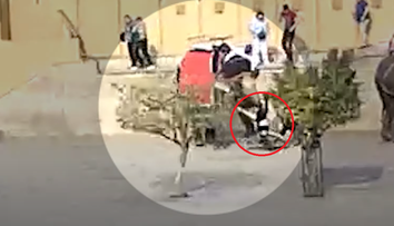 VIDEO: Desivý incident v Indii. Slonica chobotom schmatla ruskú turistku a začala s ňou točiť okolo seba