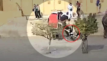 VIDEO: Desivý incident v Indii. Slonica chobotom schmatla ruskú turistku a začala s ňou točiť okolo seba