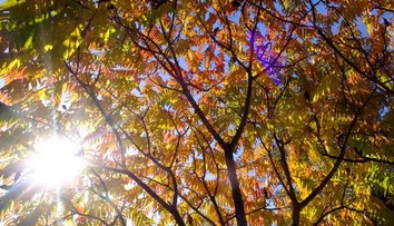 November bol teplotne nadnormálny