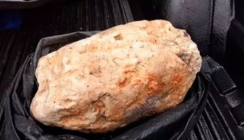 Muž našiel obrovské množstvo veľrybích exkrementov. Vďaka tomu možno zarobí milióny