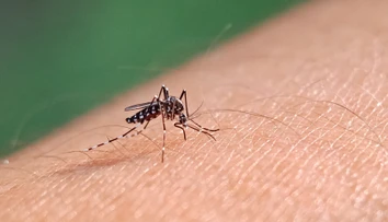 V Chorvátsku sa objavilo závažné ochorenie. Nemocnice už hlásia prvé prípady