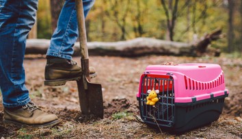 Posledná rozlúčka s domácim miláčikom: Sú isté pravidlá ich uloženia na odpočinok, majú zdravotný význam