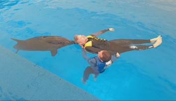 Neuveriteľná terapia s delfínmi, ktorá mení životy. Prekvapí vás, čo zažil náš redaktor