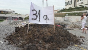 Nespokojní farmári vysypali hnoj pred parlamentom. Určený bol Dankovi