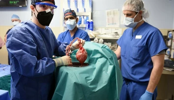 Veľký prielom v medicíne. Mužovi transplantovali srdce z prasaťa