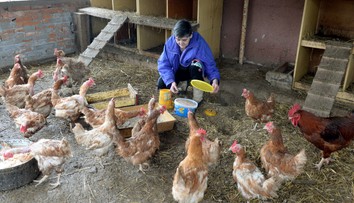 Rusko zakázalo dovoz živej hydiny a vajec aj zo Slovenska