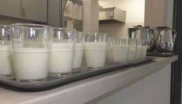 Mlieko niekto miluje, inému nevyhovuje. Zisťovali sme, ako je to s intoleranciou na laktózu