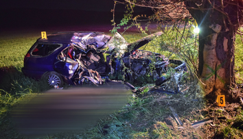 Vodič sa snažil vyhnúť zvieraťu a narazil do stromu. O život prišiel 20-ročný spolujazdec