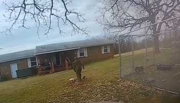 Chlapec (4) bol u starých rodičov. Keď chcel pohladkať šteňatá, jedno z nich mu odtrhlo ruku