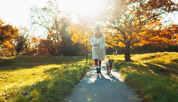 S bolesťami chrbta sa stretne takmer každý. Vedci prišli na ľahký a lacný spôsob, ktorý vie pomôcť