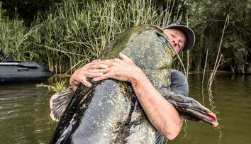 FOTO: Kapitálny úlovok známeho rybára: Z rieky vytiahol monštruózneho sumca s rekordnou dĺžkou