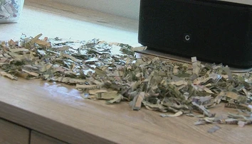 Rok šetrili peniaze, aby si splnili želanie. Vyše 1 000 dolárov im však skartoval syn (2)