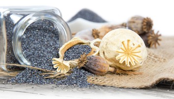 Polícia našla mak na výrobu ópia v hodnote 500 miliónov dolárov