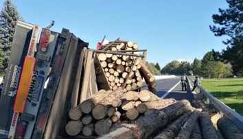 Na D1 na Liptove narazil kamión do zvodidiel a vysypal drevo