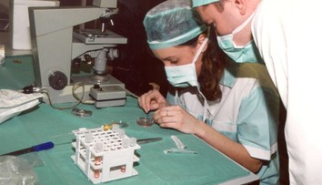 Ich syn zomrel, no jeho spermie ostali zmrazené. Rodičia si z nich chcú splodiť vnúča