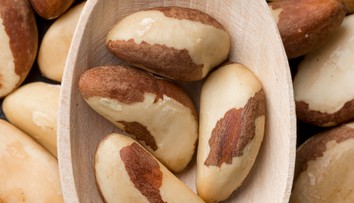 Dva nezvyčajné orechy denne pomôžu prekonať bežný zdravotný problém. Vedci odhalili ich vplyv na črevá