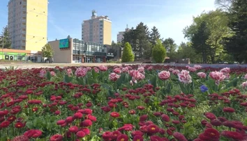 Mestá už zakvitli. V Banskej Bystrici už vysadili desaťtisíce kvetov, nezaostáva ani Dolný Kubín