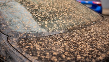 Blíži sa ďalšia vlna saharského prachu. V týchto častiach Slovenska ho spadne najviac