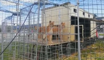 Veterina problém nevidela, policajti áno. Syn majiteľa slávneho českého cirkusu čelí vážnemu obvineniu