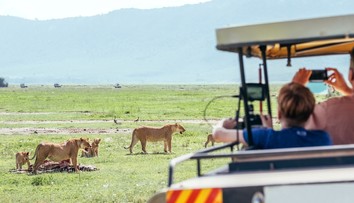 Pri útoku levov v chránenej oblasti v Tanzánii prišli o život tri deti