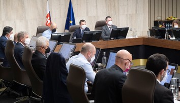 Vláda by mala rozhodovať o odklade splatnosti poistného za sociálne poistenie