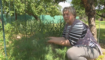 Celý život lieči zdravotné problémy bylinkami. Nielenže ich pestuje, ale píše o nich aj knihy