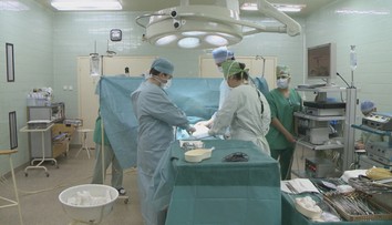 Prelom v transplantáciách: Vedci dokázali dočasne napojiť prasaciu obličku k telu zosnulého