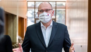 Sulík podáva podnet na audítorskú spoločnosť Deloitte Audit pre upozornenia NKÚ