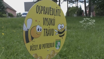 Niektoré mestá sa rozhodli nekosiť vybrané lokality. Nie všetkým sa to páči