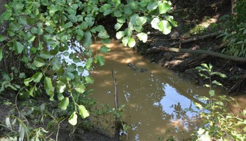 Škody za viac ako 400 miliónov eur. Enviropolícia vzniesla obvinenie v prípade katastrofy na rieke Hron