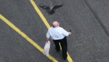 Ľudí v Chorvátsku terorizujú agresívne vrany. Pre ich útoky sa boja vychádzať von