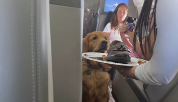 Psie aerolinky vypravili prvý let. O lístky je aj napriek cene veľký záujem