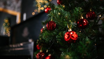 Kedy je ten správny čas odložiť vianočný stromček? Niektorí tak robia hneď po sviatkoch, iní až vo februári