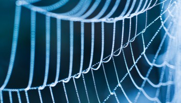 Prelomový objav: V USA vyrobili materiál, ktorý je pevnejší ako pavúčie vlákno