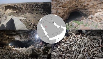 V lávovovom tuneli našli milióny kostí vrátane ľudských. Vedci zistili, že ide o dielo hyen