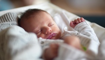 Rodičia pomenovali svojho syna po tomto jedle. Úradníci nechápavo krútili hlavami