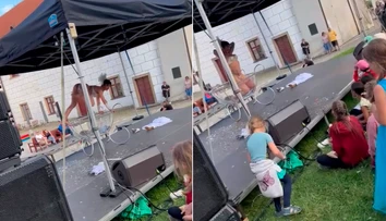 VIDEO: Organizátor slávností vína v českom Třebíči lákal na bohatý program pre deti. Tie nakoniec sledovali striptíz