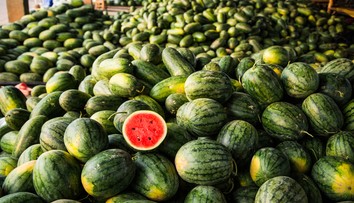 Neviete si vybrať dobrý melón? Poradíme vám ako na to