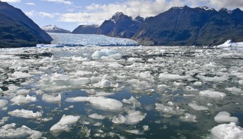 Vedci varujú, že „antarktický obor“ sa prebúdza. Podľa nich to môže znamenať katastrofu