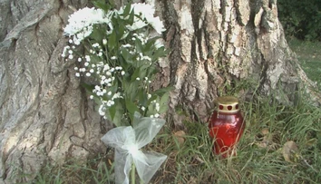 Smrť chlapca v Nitre vyvoláva otázniky: Kto nesie zodpovednosť za osudný strom?