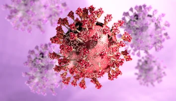 Dánska epidemiologička očakáva do marca návrat do normálneho života