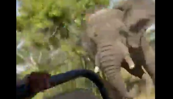 VIDEO: Smrtiaci útok slona na autobus plný turistov. Jedna žena jeho besnenie neprežila