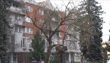 V Púchove musia zlikvidovať desiatky stromov, medzi nimi aj veľké a zdravé. Miestni aktivisti sa búria