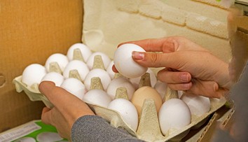 Hydinové mäso aj vajcia budú výrazne drahšie, avizuje Únia hydinárov Slovenska