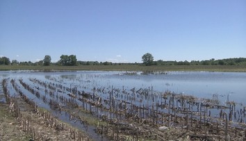 Farmári na Zemplíne nemôžu na polia. Ak chcú na pôdu dotáciu, zasiať musia čo najskôr