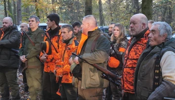 Do lesoparku nesmela ani noha: V lokalite s premnoženými diviakmi zorganizovali mimoriadnu poľovačku