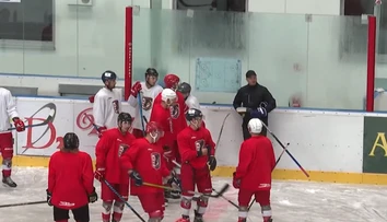 Všetci akcionári sú Prešovčania. V kádri Šarišanov je aj bývalý šampión extraligy