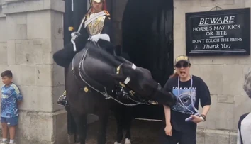 VIDEO: Kôň kráľovskej gardy uhryzol turistku, po chvíli sa zložila k zemi
